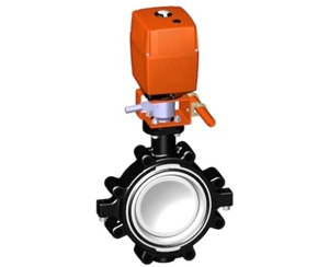 24V 美標(biāo)(ANSI) 帶手動手柄，+GF+電動蝶閥 蝶閥 進口蝶閥